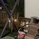 월드니스 이미지