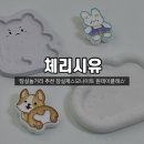 [3월 재능나눔] 나만의 인형 만들기 원데이클래스 <내 손으로 꾸미는 모루인형 > | [일상] 잠실놀거리 추천 &#39;체리시유&#39; 잠실제스모나이트 원데이클래스 후기