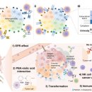 의료법인 유원의료재단 이미지