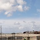 성도 농장 | 하와이 여행 코스 5박7일 허니문 패키지 일정 후기