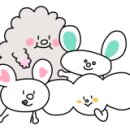 두드림부동산공인중개사사무소 이미지