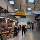 고산역 1번 출구 뒤 | [일상탐험 EP 308]-봄동비빔밥 대란, 봄동을 저렴하게 구입한 오목교역 과일가게 방문 후기(1번출구 인근)