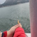 금강산민박 | 군산 신시도 민박, 1박 2일 찐 후기 [정다운 횟집]