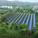 어울림 태양광발전소 이미지