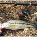 보성강8 이미지