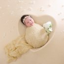 테디베어 | 베이비파스텔 용인 신생아 사진 본아트 촬영 귀여워