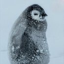 오늘도 헬스 이미지