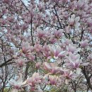 신연수역 이미지