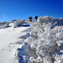 Be a memory 이미지