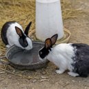 별캠키즈풀빌라 이미지