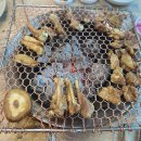 차도리가든 이미지