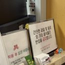 양말신고 얼음과자먹는 해태 | 용인 숲속숲가마 방문 후기 / 준비물 꿀팁