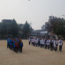 서울보광초등학교