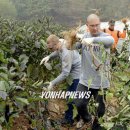 효촌2리 이미지