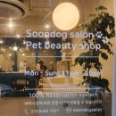 순독살롱 이미지