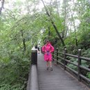 계곡이야기 이미지