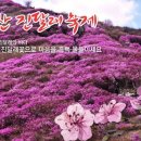 제20회 여수영취산진달래축제 (Yeongchwi Mt. Azalea Festival) 이미지