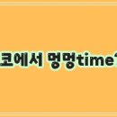 코코애견 이미지