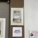 청주 애견유치원 꼬리흔들개Lucky 네이버블로그
