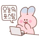 세유여행사