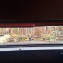 임랑스테이 이미지