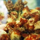 산지물호텔 이미지