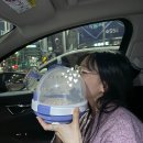 특별한 동물가게 광주점 이미지