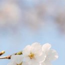 일본어 회화(중급) 이미지