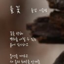 르노자동차서비스코너율량점