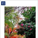 돌산공원 정상 이미지