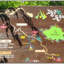 팔공산 둘레길 5구간 Daum카페