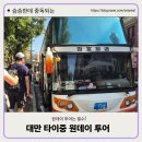 [대만 타이중]원데이 투어 일월담-무지개마을-고미습지 한국어가이드 리뷰 후기