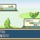 우리42 네이버블로그