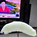 신비손세차 - 고양시 일산동구 성현로599번길 28 | 신비손세차