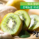 은혜농장 네이버블로그
