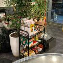 천안두정고등학교 | 천안 두정동 고깃집 추천, 뒷고기 맛집 돼지꿈꾸는집