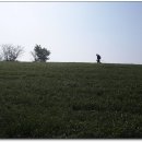 진등3로 이미지