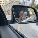 신기교 - 1640 | 대구 근교 청도 노지 캠핑장 차크닉 다녀온 후기