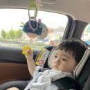 돌띠 | [다시 쓰는 육아 일기] 경원재 앰배서더 인천 돌잔치 후기