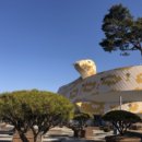 양서·파충류생태공원 아나콘다관 이미지