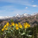 Iron Bear Teanaway Ridge 이미지