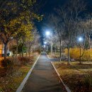 별밤미술관 in 선운 | 별밤미술관 in 선운, 이영숙 작가 초대전 &lt;집단기억&gt;