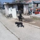 백학경로당 이미지