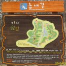 제1코스 이미지