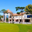 솔라고CC 라고 이미지