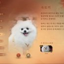 옥토끼몰