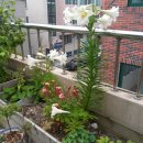 송림세탁소 이미지