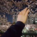 부산시립정신병원 이미지