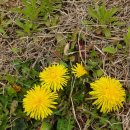 곤의농장 이미지