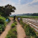 스포츠 아이 수영장 이미지